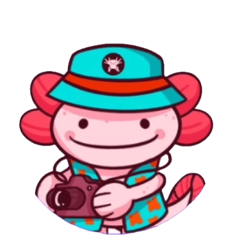 Xoli